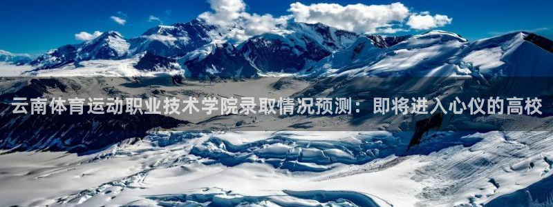 MK体育官网下载