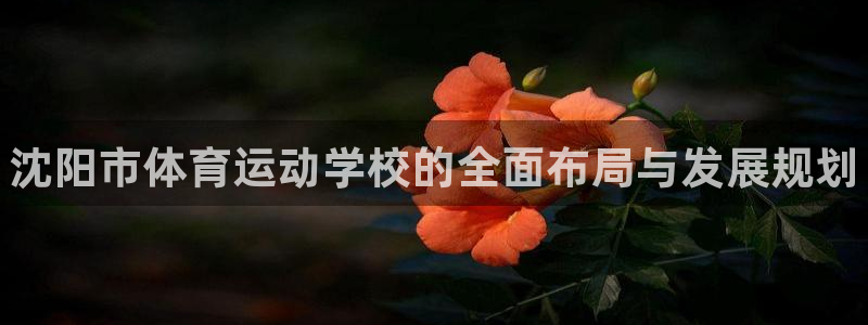 MK体育官网下载平台