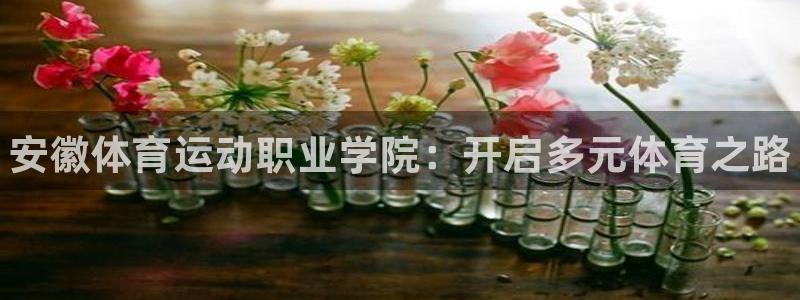 MK体育官方正版app娱乐是那个系列的台子：安徽体育运动职业