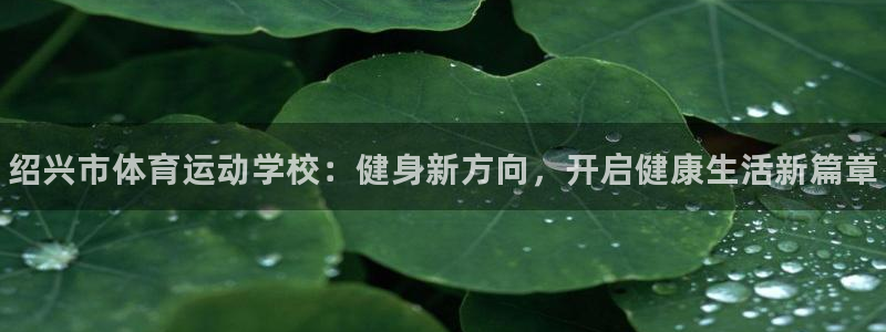 MK体育官方正版app集团官网首页