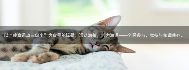 海南MK体育官网下载