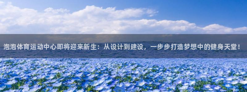 MK体育官网下载是干嘛的公司：泡泡体育运动中心即将迎来新生：