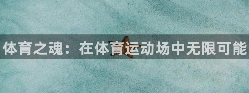 MK体育官方正版app娱乐是那个系列的台子：体育之魂：在体育