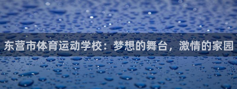 MK体育官方正版app娱乐网站：东营市体育运动学校：梦想的舞