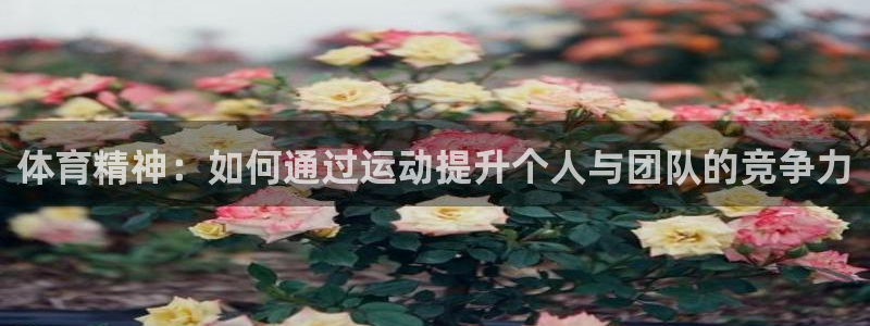 MK体育官网下载开户：体育精神：如何通过运动提升个人与团队的