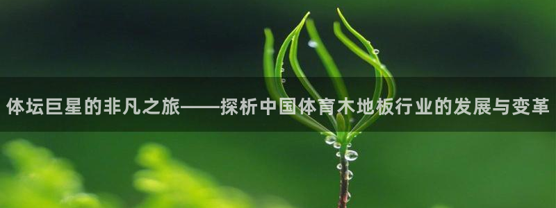 MK体育官网下载招商电话是多少：体坛巨星的非凡之旅——探析中