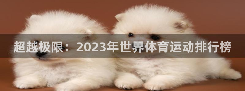 MK体育官网下载平台注册流程视频：超越极限：2023