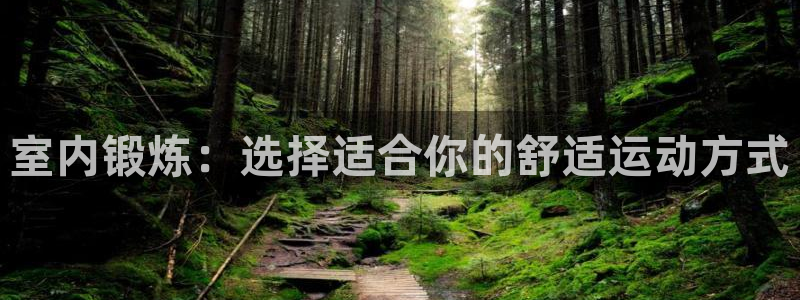 MK体育官方正版app官方：室内锻炼：选择适合你的舒适运动方