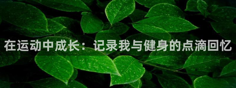 MK体育官网下载联系电话：在运动中成长：记录我与健身