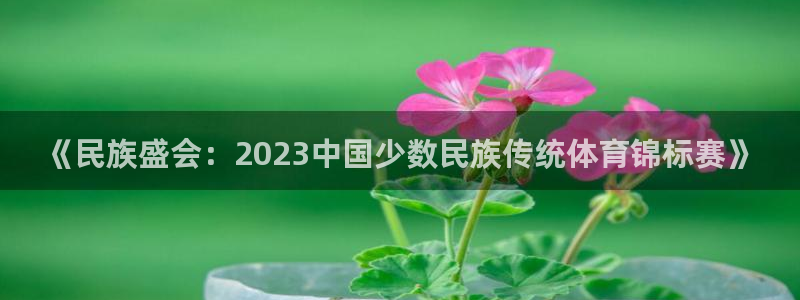 MK体育官方正版app集团简介：《民族盛会：2023中国少数