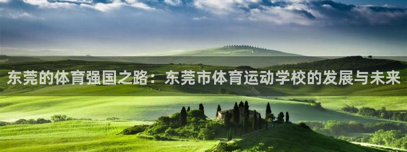 MK体育官方正版app神州：东莞的体育强国之路：东莞市体育运