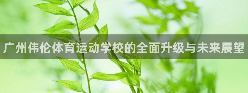 MK体育官方正版app科技：广州伟伦体育运动学校的全