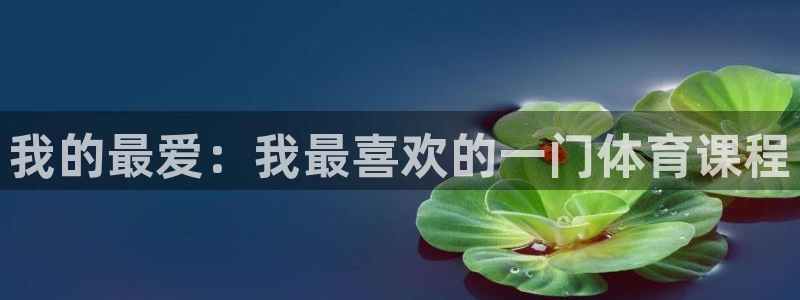 MK体育官方正版app娱乐40996：我的最爱：我最喜欢的一