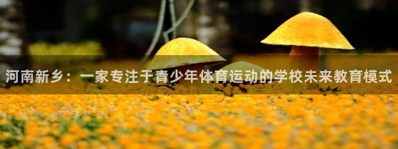 德国MK体育官方正版app集团：河南新乡：一家专注于青少年体