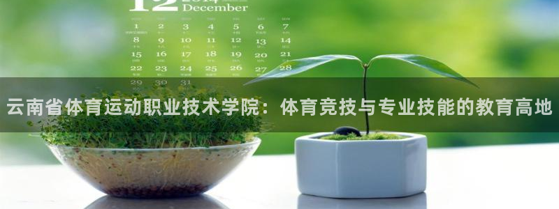 MK体育官方正版app娱乐平台：云南省体育运动职业技术学院：