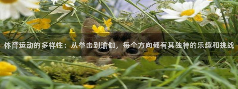 MK体育官网下载平台是正规平台吗知乎